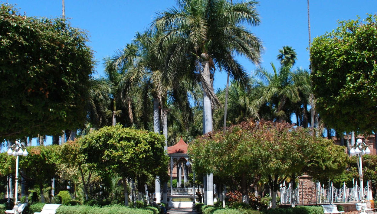 Los Mochis Tour & Topolobampo Bay Boat Ride