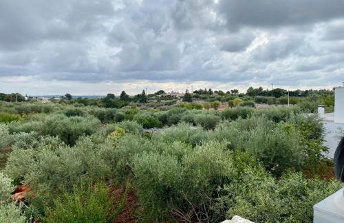 Villa Marta- Puglia Mia apartments - Foto 39