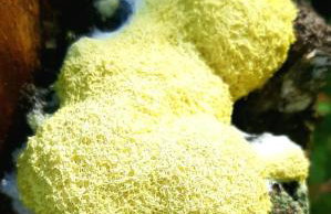 Kawalerka u Megi - Foto 14