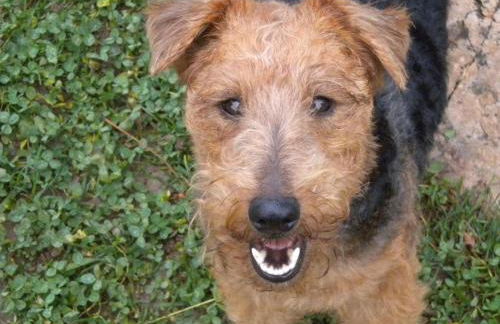 NS SUITE SAURIS - Foto 9