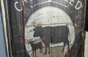 Enjoy Ozark History in Style! - Foto 35