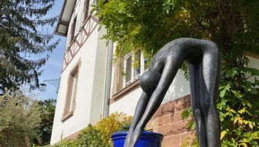 LA VILLA DES OISEAUX - La Petite Pierre - Foto 5