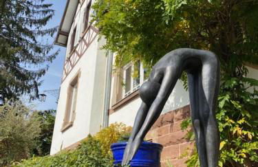 LA VILLA DES OISEAUX - La Petite Pierre - Foto 5