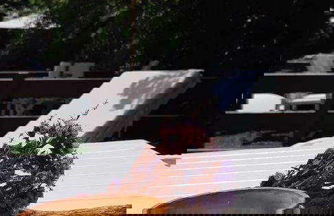 Maestralia - Foto 78