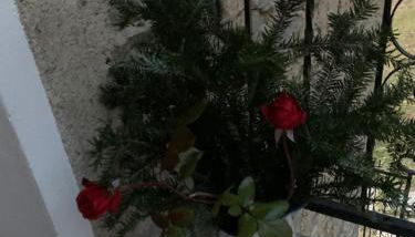 Casa Placida - Foto 3