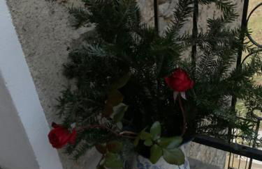 Casa Placida - Foto 3