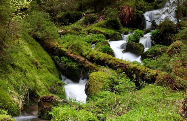 Ferienwohnung im Bernautal - Foto 16