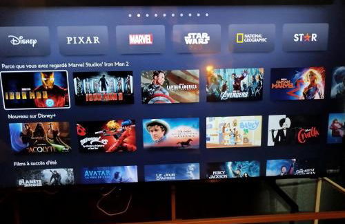 Nancy Vieille ville Stanislas - Foto 59