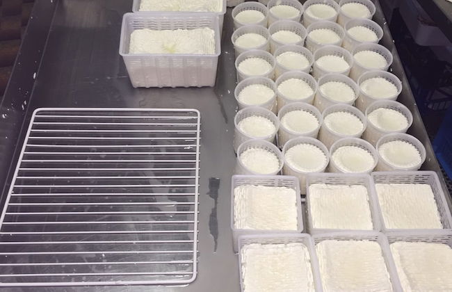 Agriturismo La Betulla - Foto 17