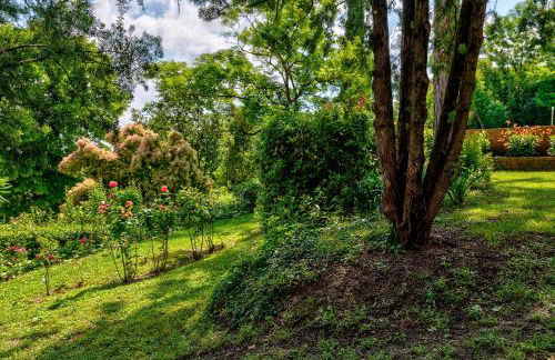 Appartamenti Villa Letizia - Photo 27