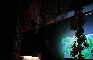 Amazonia Suite - Starry Sky & Spa Bath - Foto 11