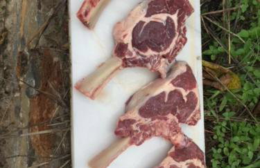 Stonehouse dome Lagadia - Photo 72