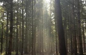 Villa Duck-Dich-Südheide - Photo 16