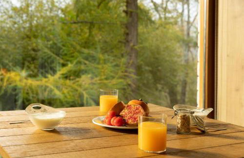 Cabañas Deluxe Basajaun Basoa by IrriSarri Land - Foto 22