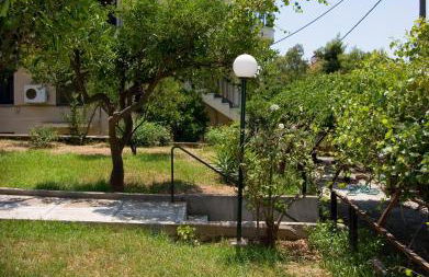 Soile Georgia - Photo 21