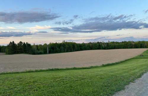 Cute 3 bedroom cabin on a farm - Foto 7
