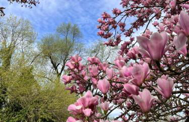 Am Flussgarten - Foto 26