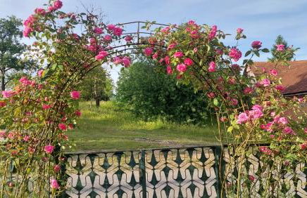 Kuća za odmor ,Erdelj 21 B - Foto 45