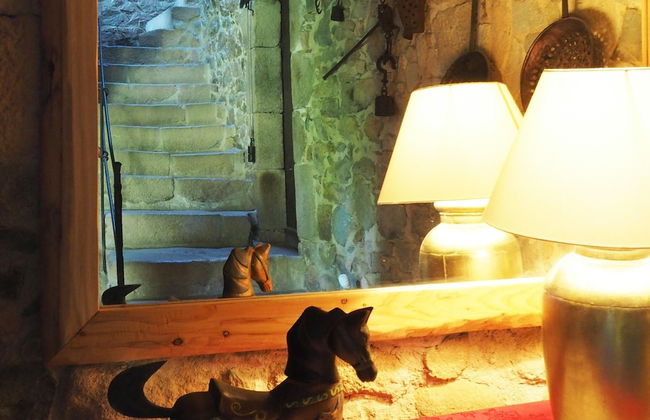 Mas Cal Sastre - Photo 3