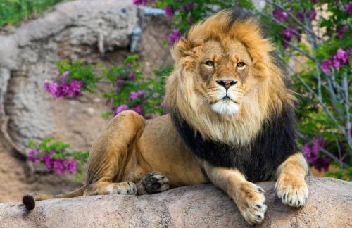 Private 10 guest Getaway Fire-Pit Golf Hike Ski Spa - Foto 25