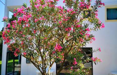 Nikoli Apartments - Foto 45