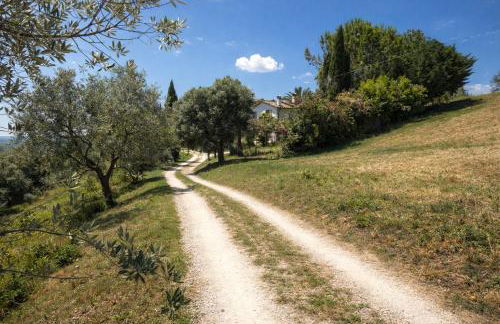 Scappo in Umbria, Collefiorito - Foto 30