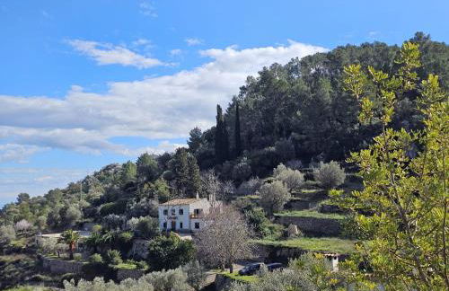 Agroturismo Finca Can Sec - Foto 16