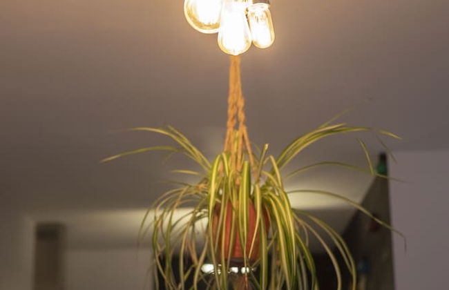 Old Town Grade II Listed 2 Bed - Foto 23