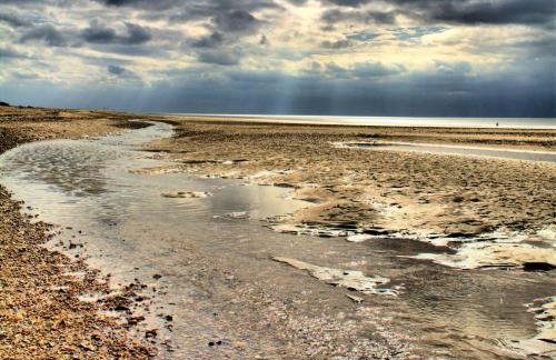 Saltmarshes - Photo 25