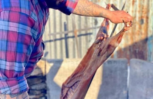 Estancia Bonanza - Foto 41