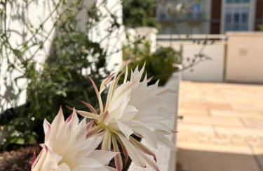 Residence Siesta - Foto 31