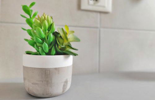 Santa Caterina - Nel Cuore di Crema - Foto 36