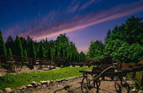 Przystań Jeziorany - willa nad jeziorem - Warmia i Mazury - Foto 72