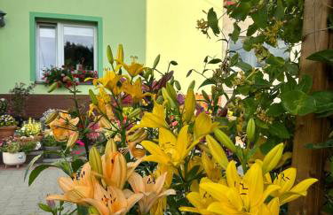 Mr. Sowa Sokolec - Foto 29