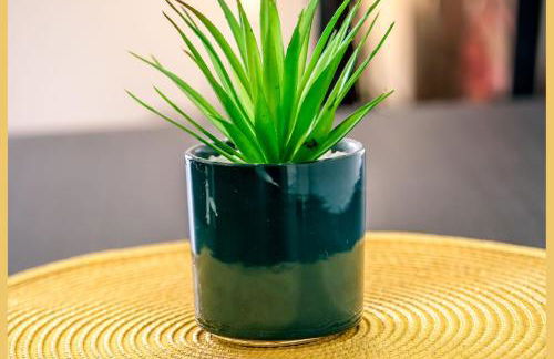 Chez Pat' I T2 I Saint-Julien - Photo 18