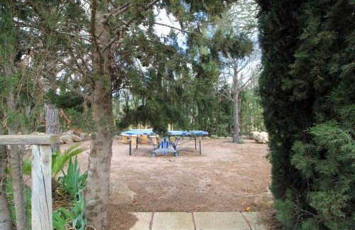 Casa rural el Carmen de la Sierra - Finca completa - Piscina privada - Foto 72