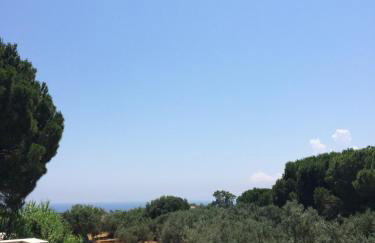 Koukounaries Studios - Foto 24