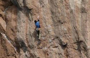 Ulldemolins Niuet - Foto 38