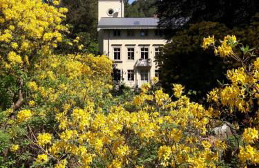 Rapunzel trifft Dornröschen - Foto 5