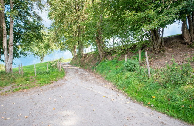 Lierneux Family Nature Stay - Foto 69