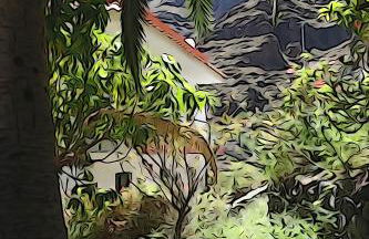 Apartamentos Nayara - Foto 32