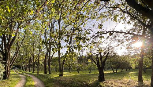 Quinta da Mata de Baixo - Foto 2