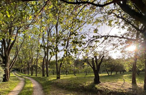 Quinta da Mata de Baixo - Foto 2