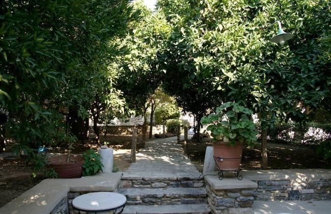 Giannakis Filoxenia - Foto 29