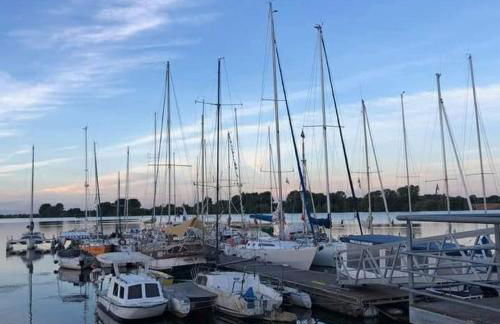 Casa do Ferreiro by Valada Village - Foto 22