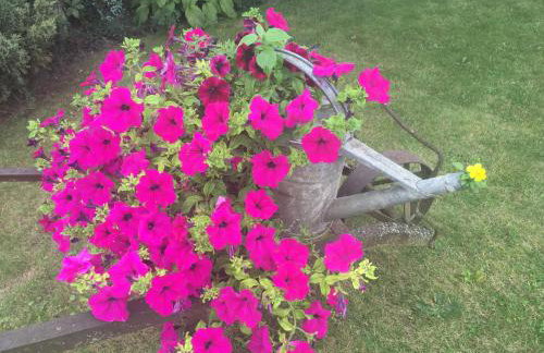 Haus Masur - Photo 48