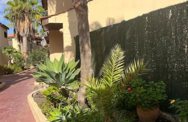 Casa Cactus Paraiso - Photo 35