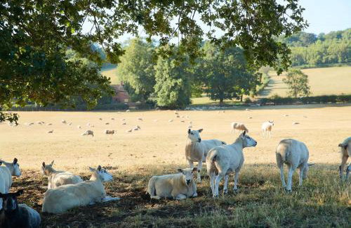 Woodland Retreat - Foto 18