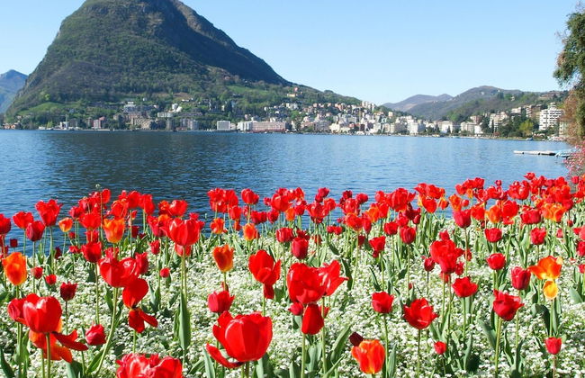 Casa Tam in Melide - Foto 32