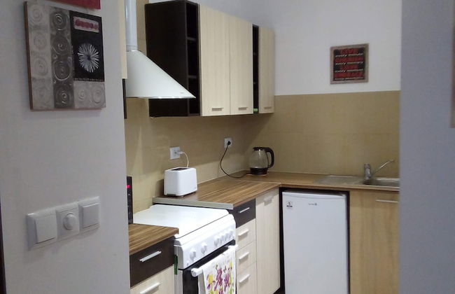 Room-studio Apartment in Palamartsa - Foto 17